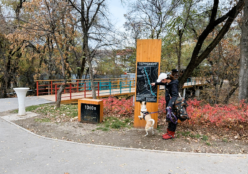 blog-images