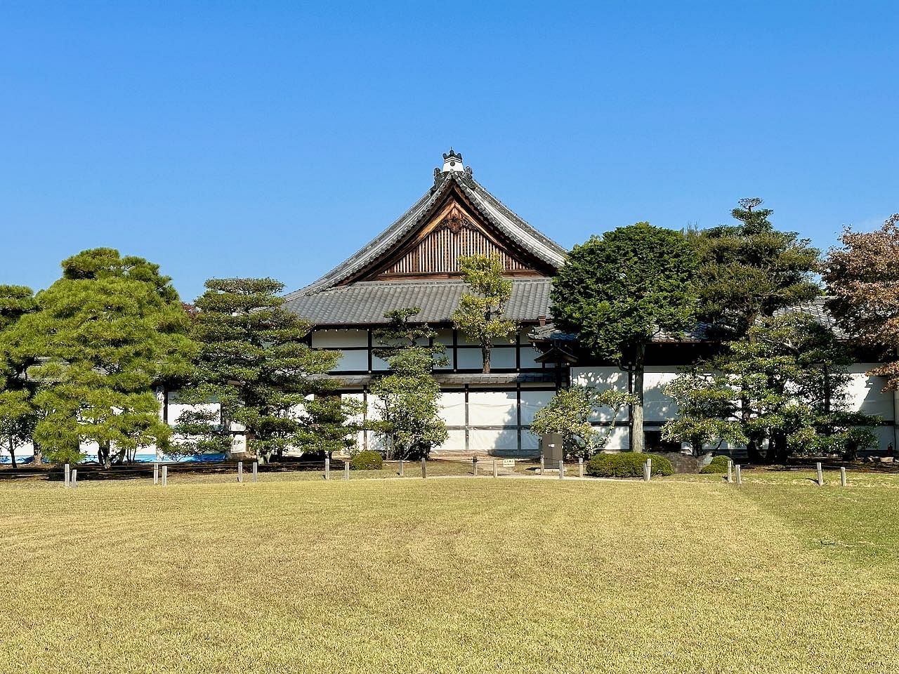blog-images