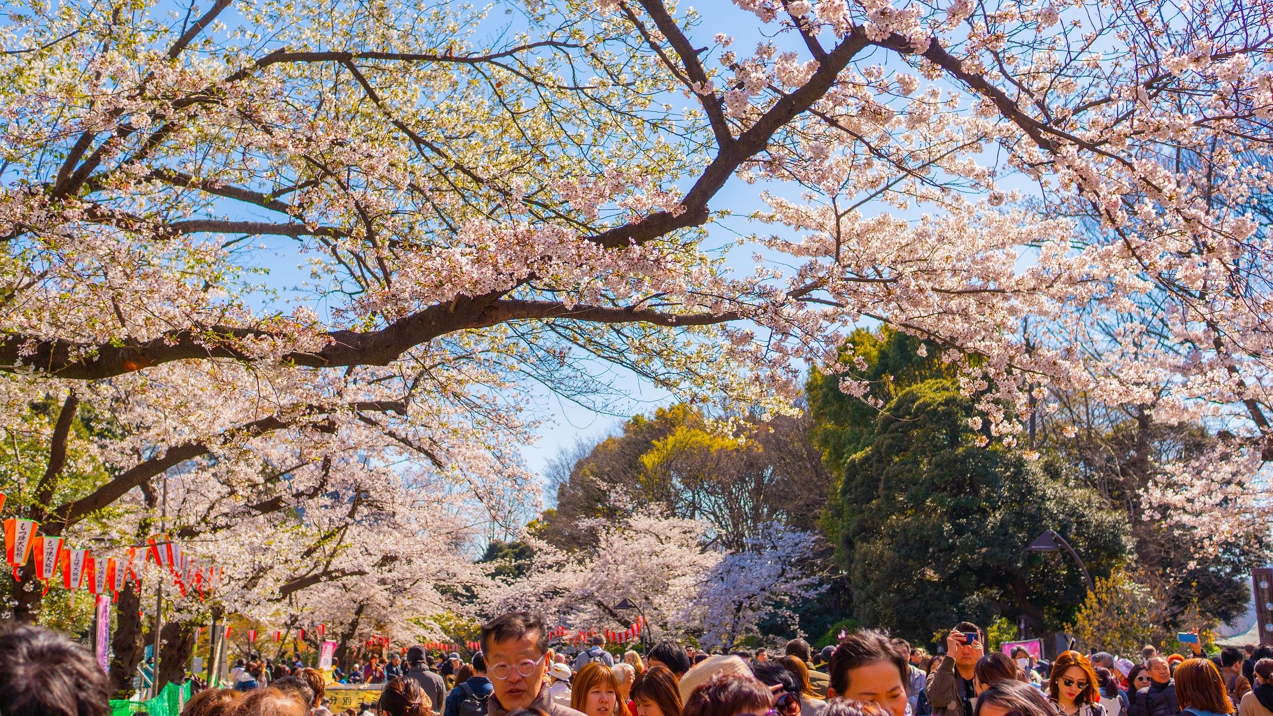 ueno-park-tokyo-japan