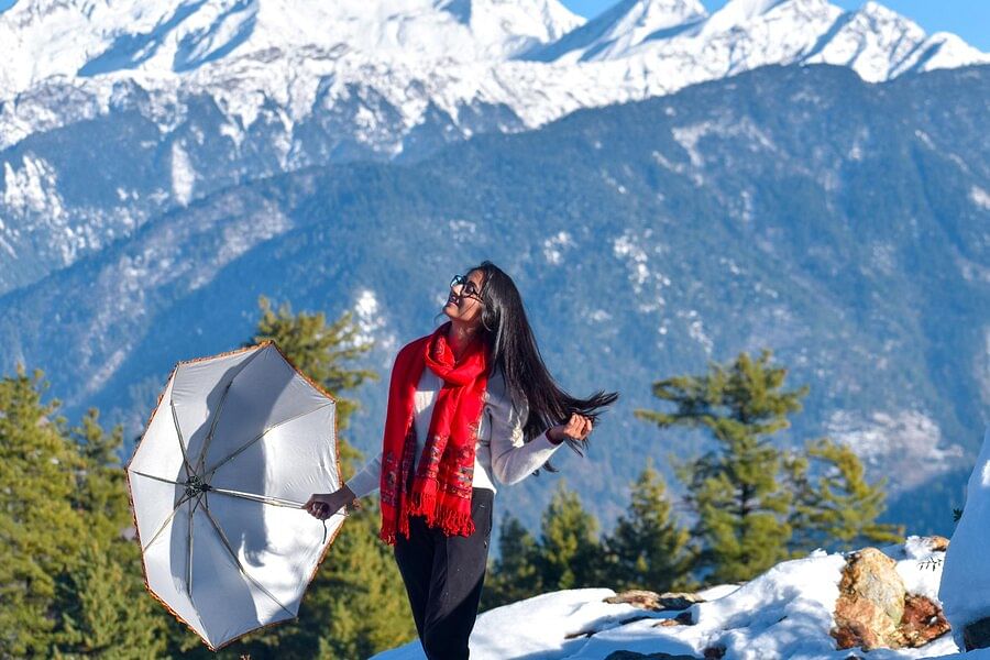 Kashmir trip cost