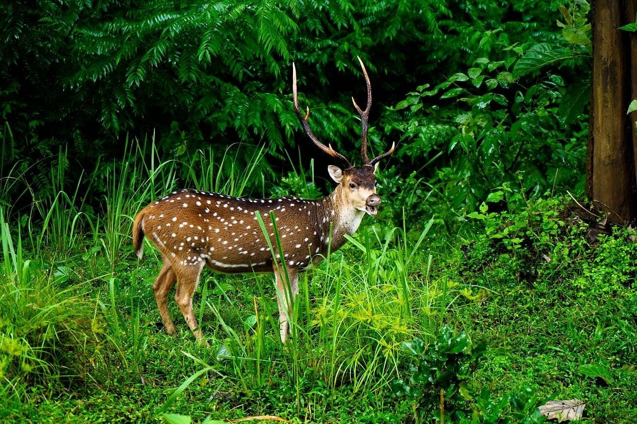 blog-images