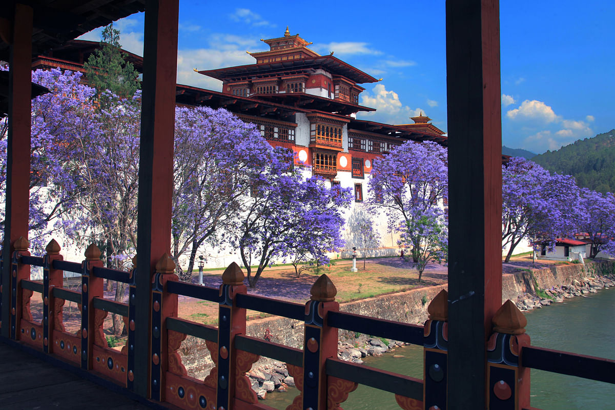 blog-images
