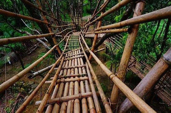 bamboo-skywalk