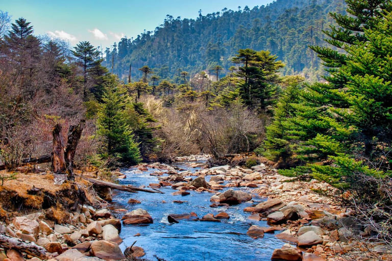 jigme-singye-wangchuck-national-park-in-bhutan