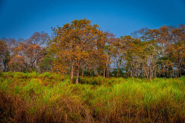 blog-images