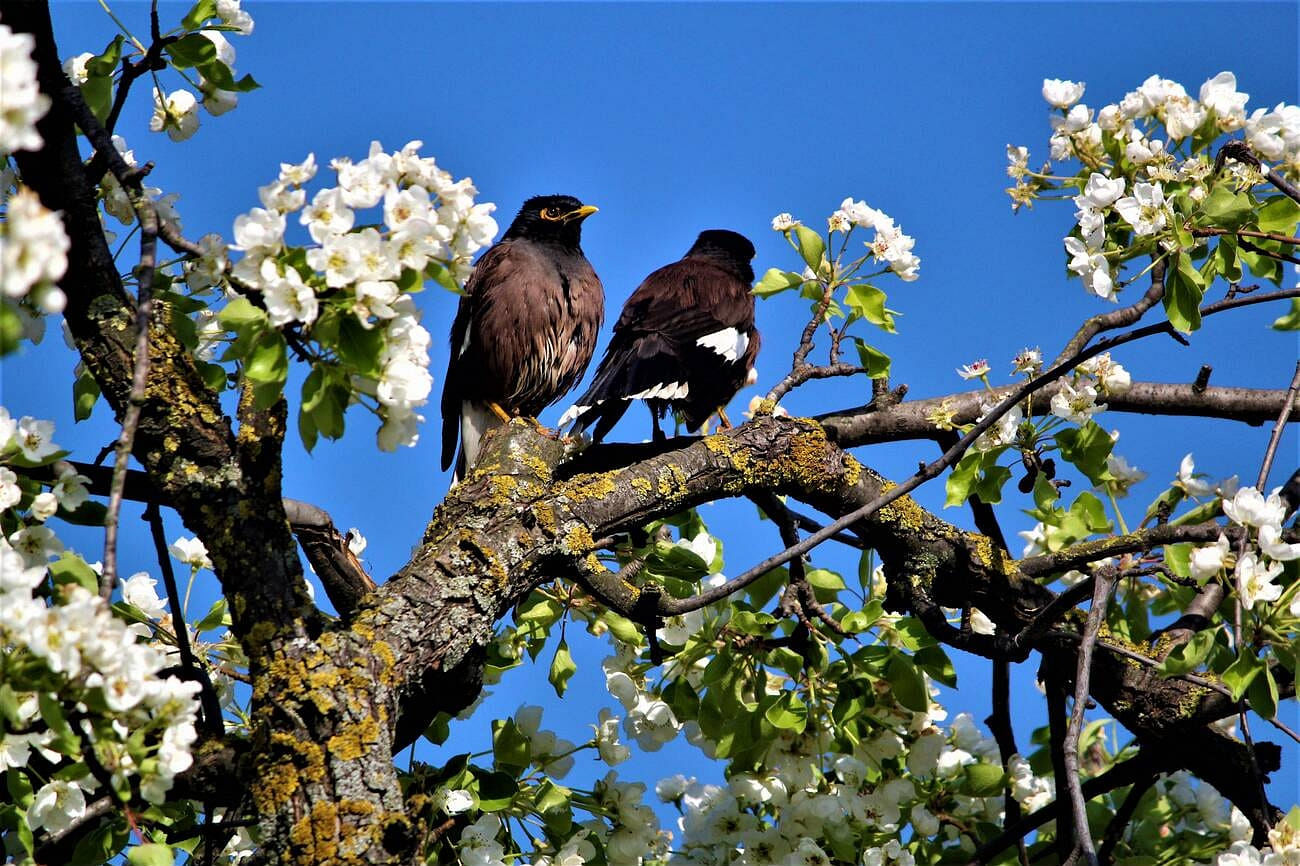 blog-images