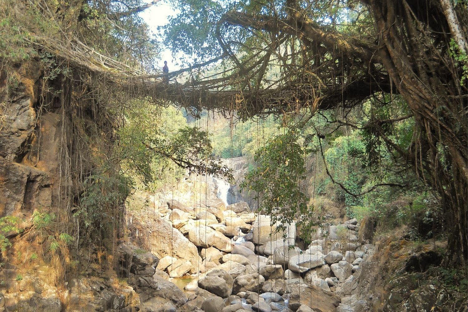 blog-images