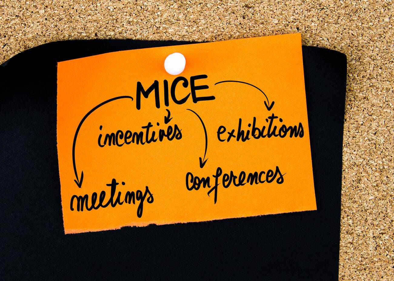 mice-featured-image-1