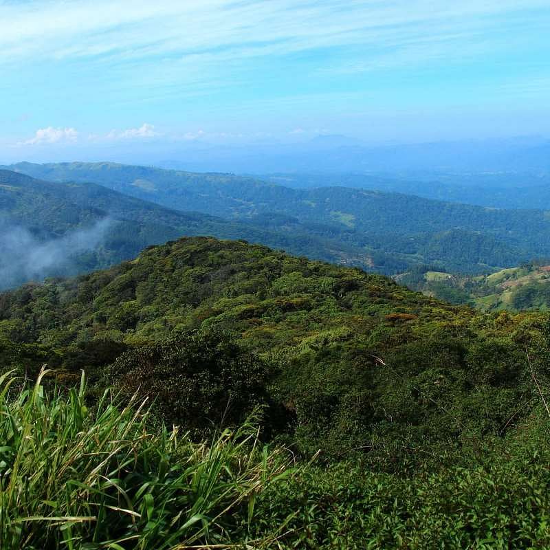 blog-images