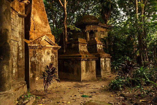 blog-images