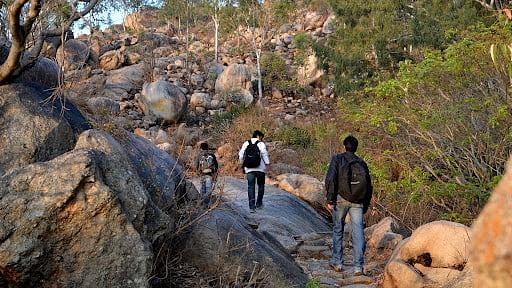 blog-images