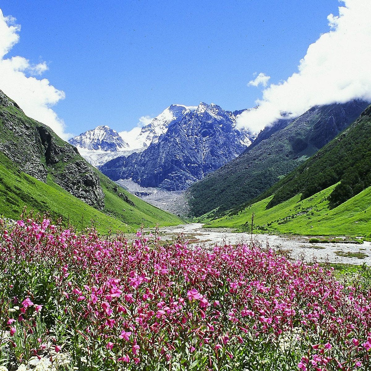 blog-images