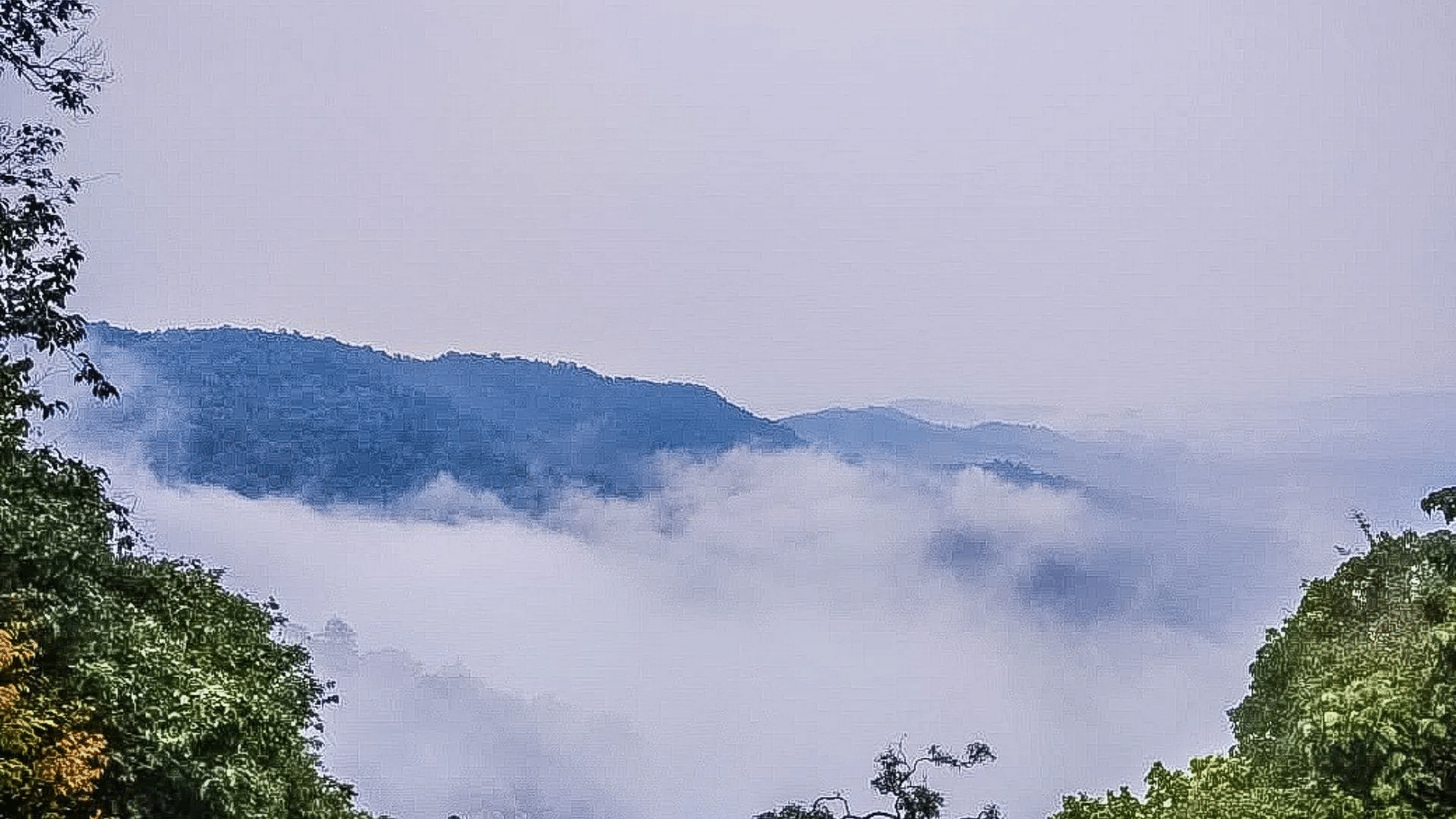 blog-images