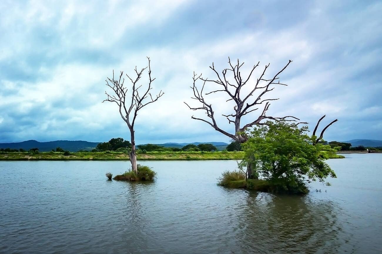 choral-dam