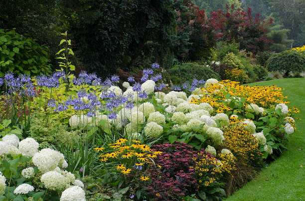 blog-images