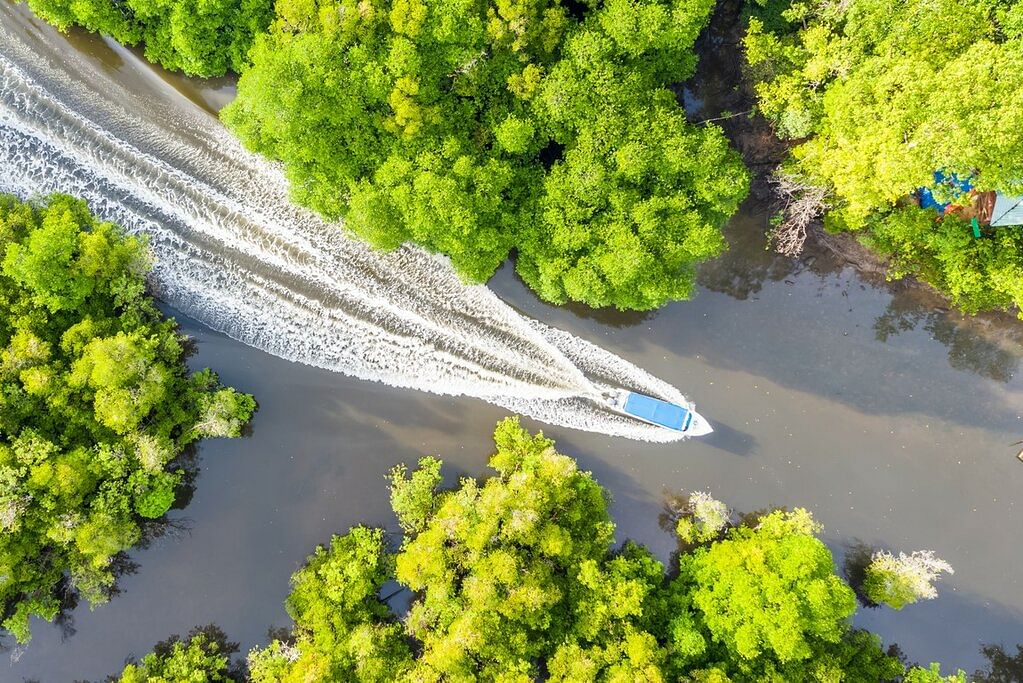 kinabatangan
