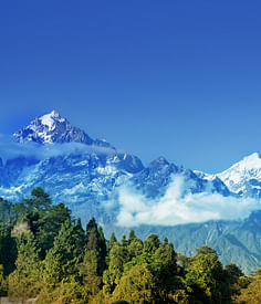 blog-images