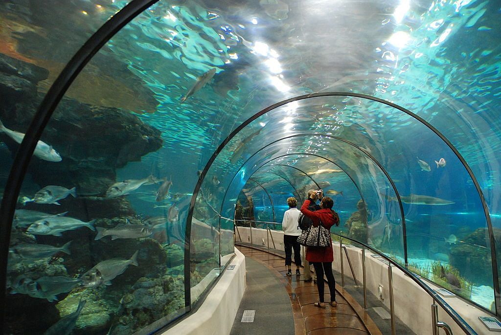 underwater-world-in-singapore