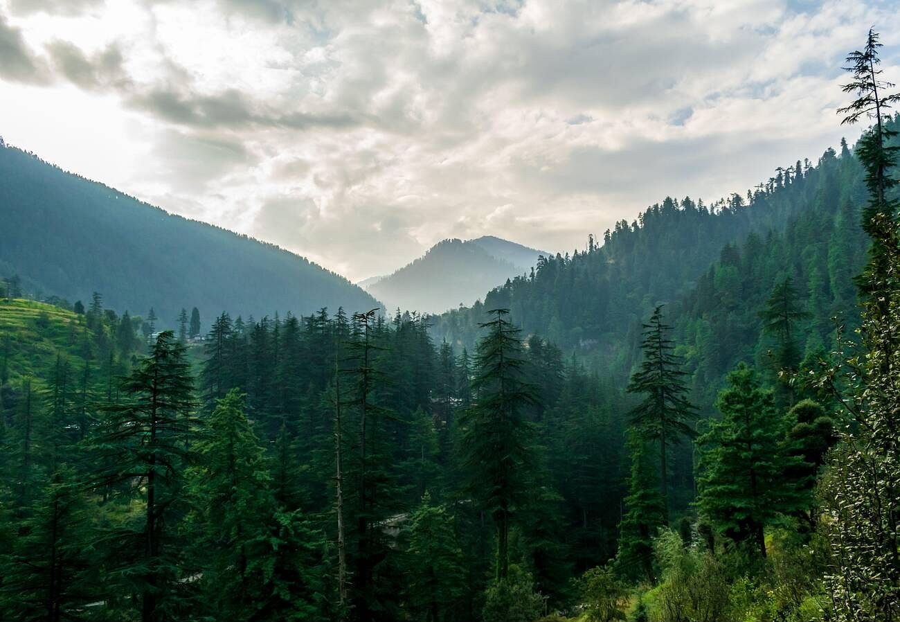 blog-images