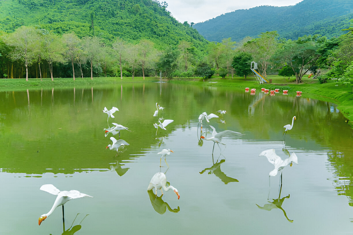 blog-images