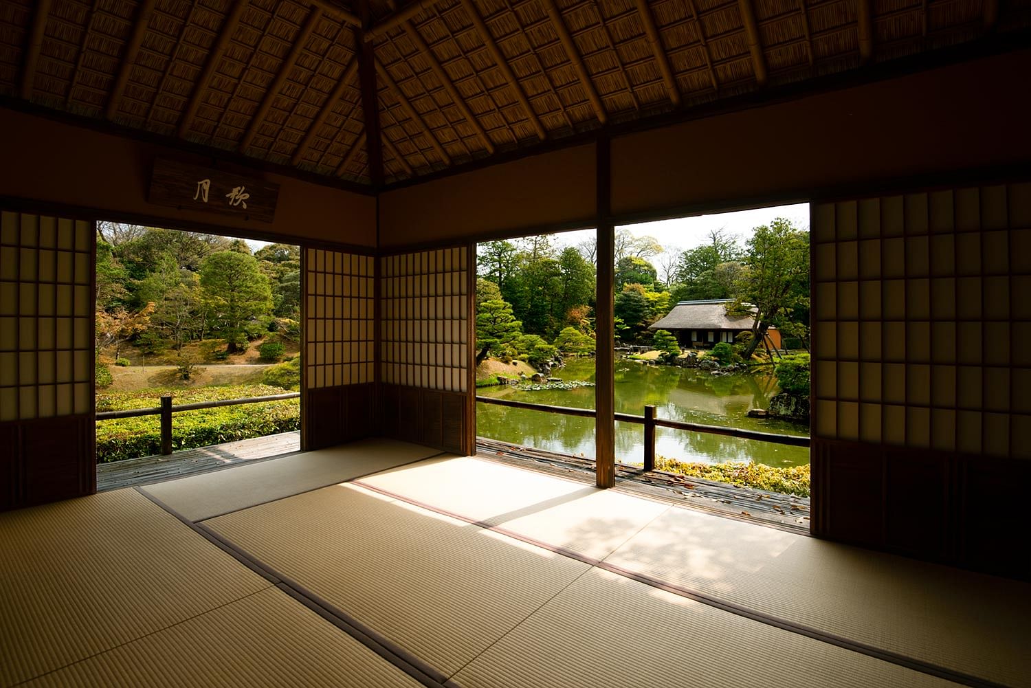 blog-images