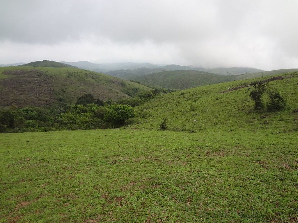 blog-images