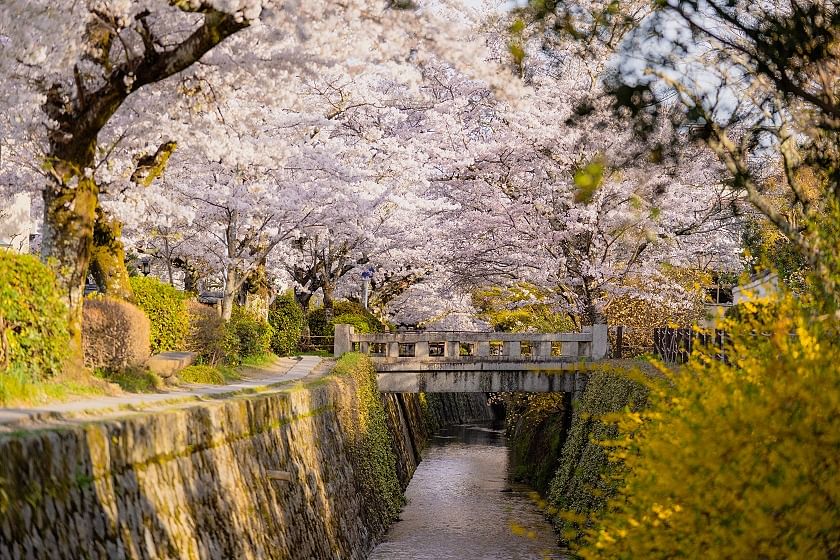 blog-images