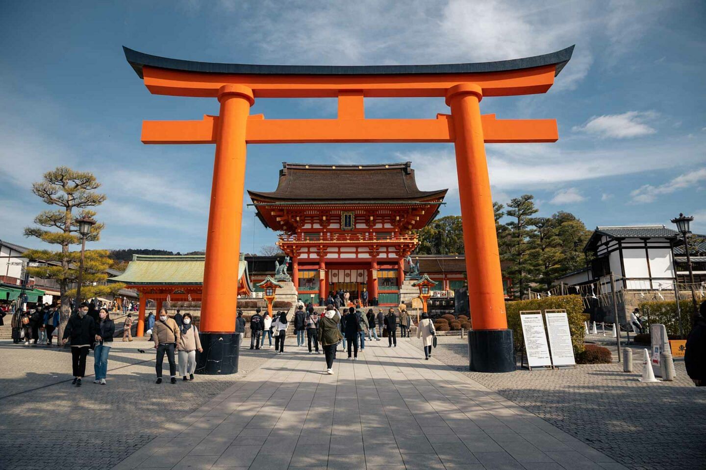 blog-images