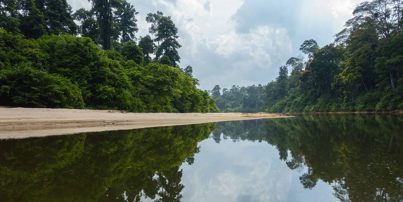 endau-rompin-national-park-malaysia
