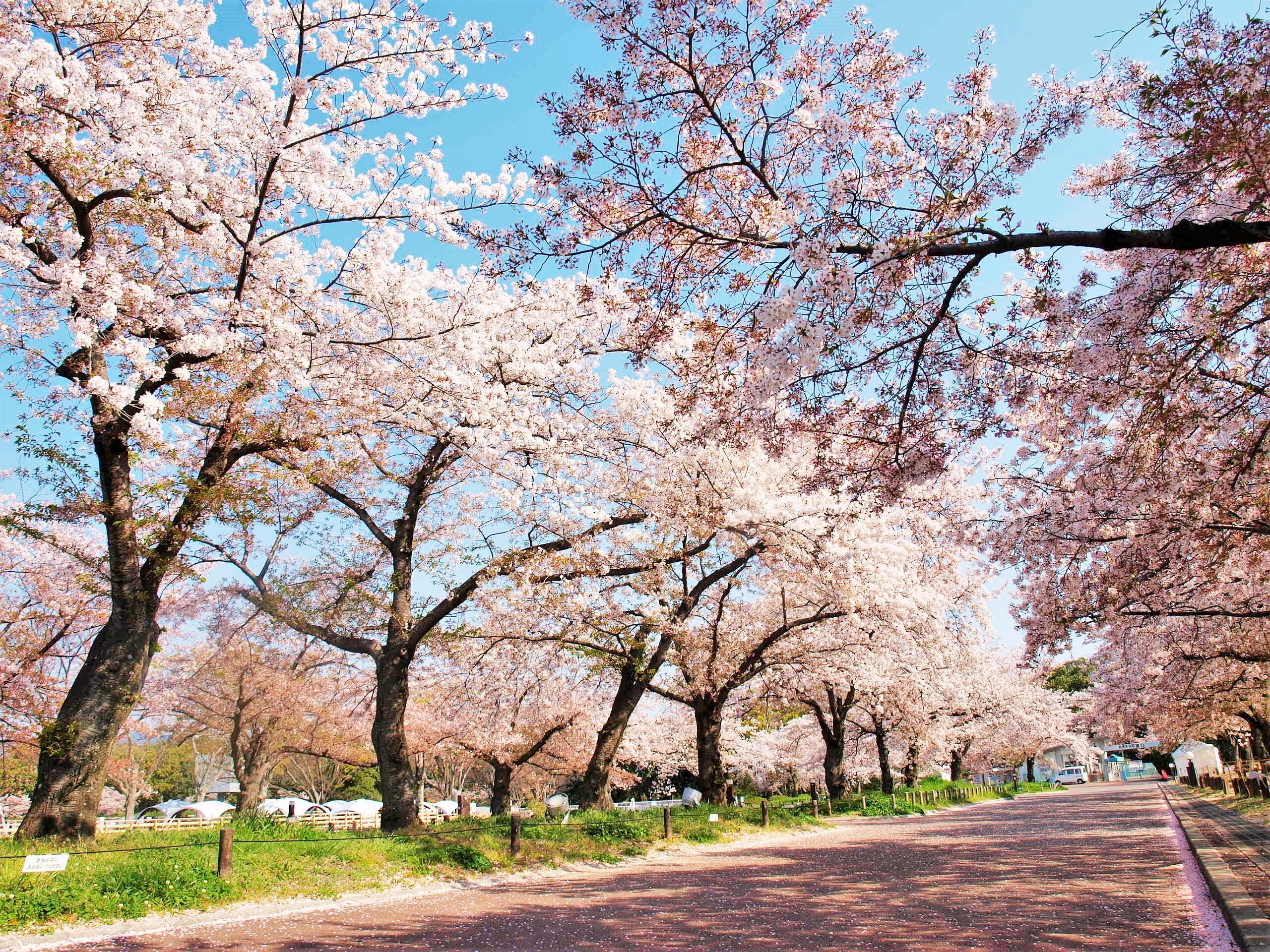 blog-images