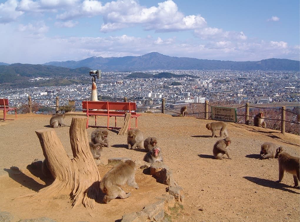 blog-images