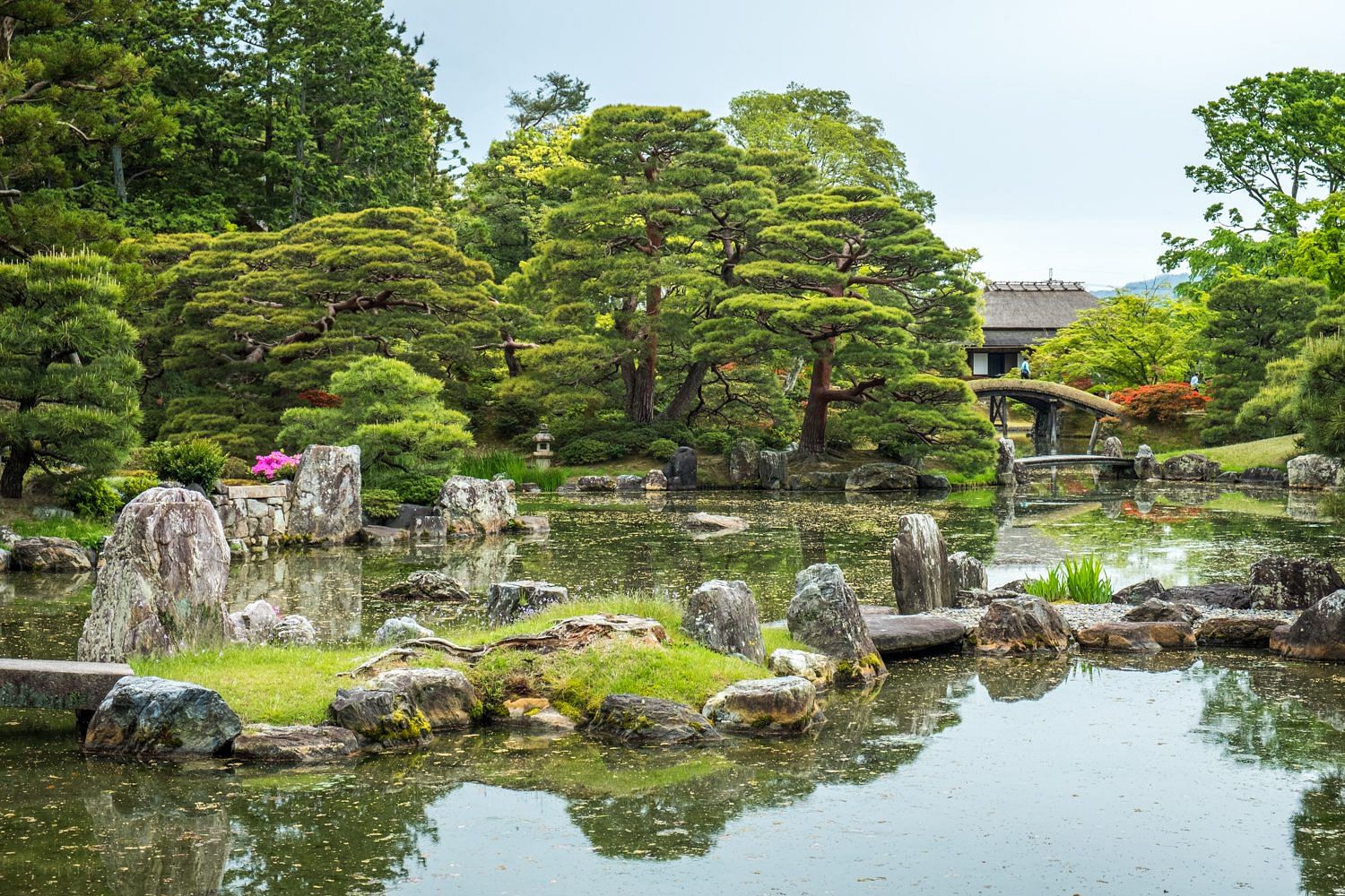 blog-images