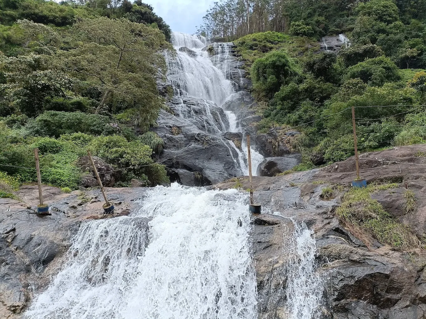 blog-images
