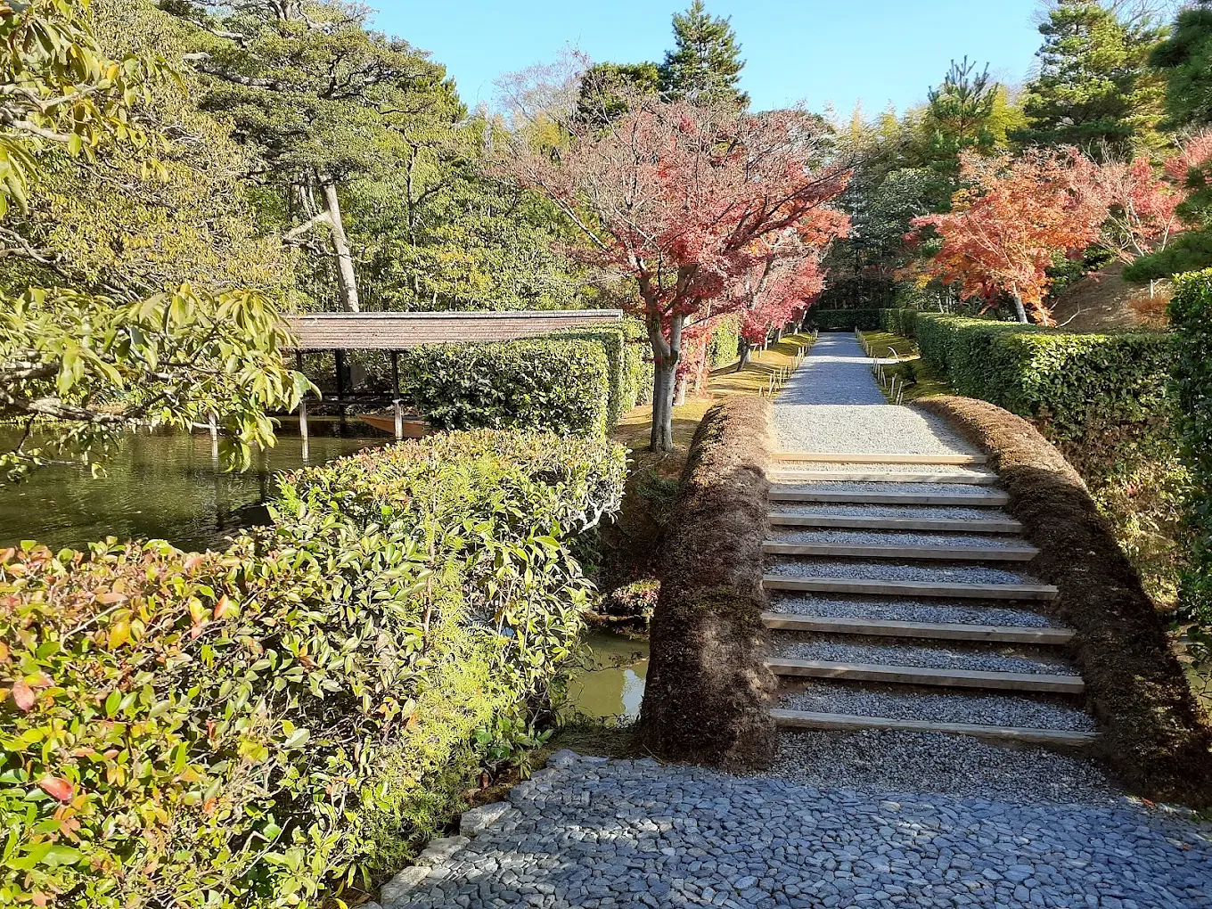 blog-images