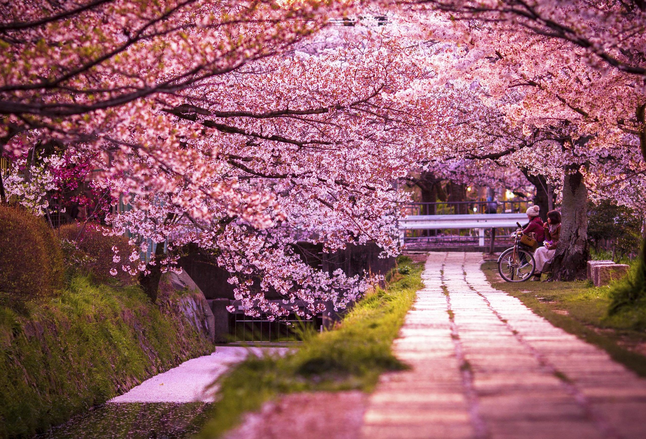 blog-images