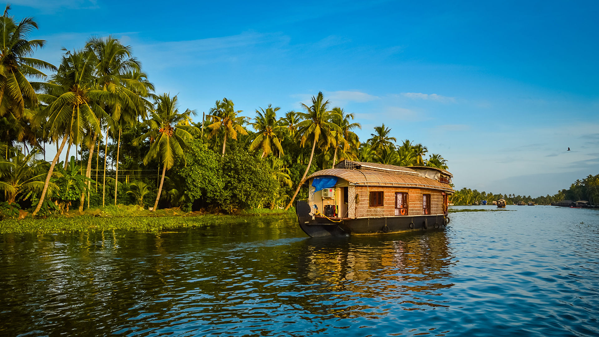 places-to-visit-in-kerala