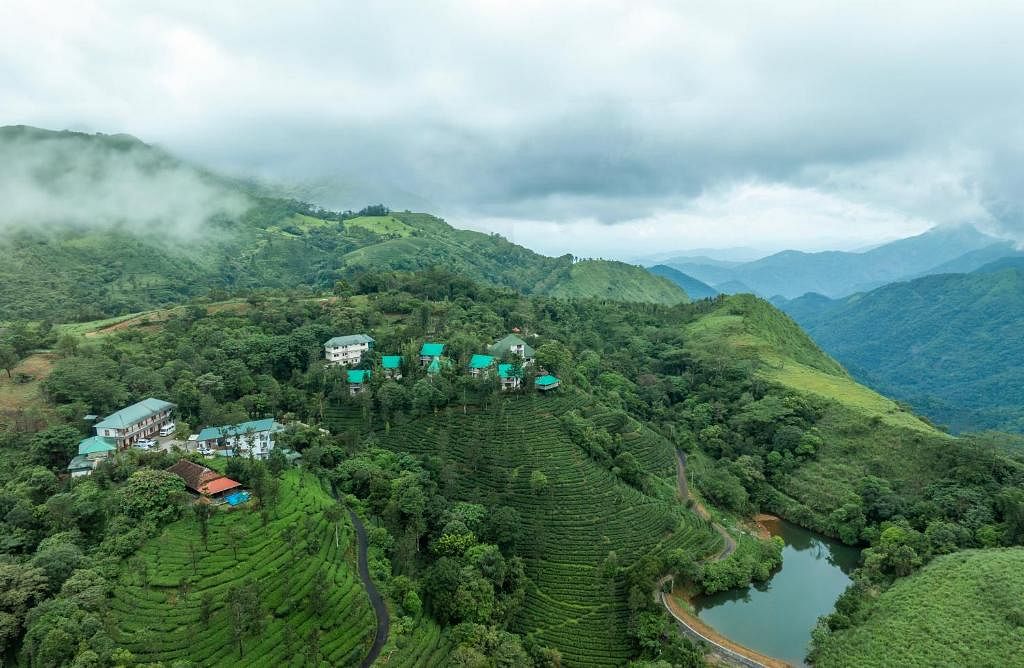 places-to-visit-in-vagamon