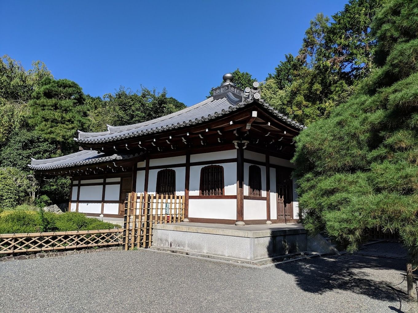 blog-images