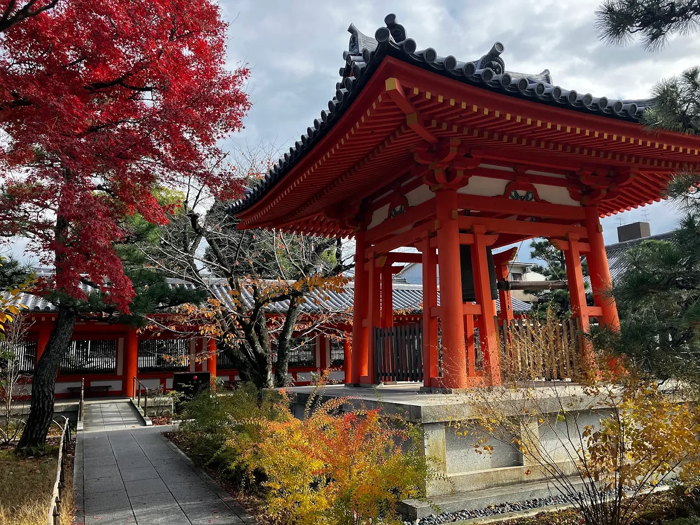 blog-images