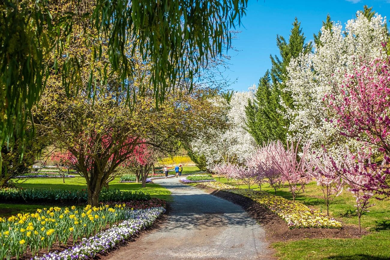spring-in-sydney