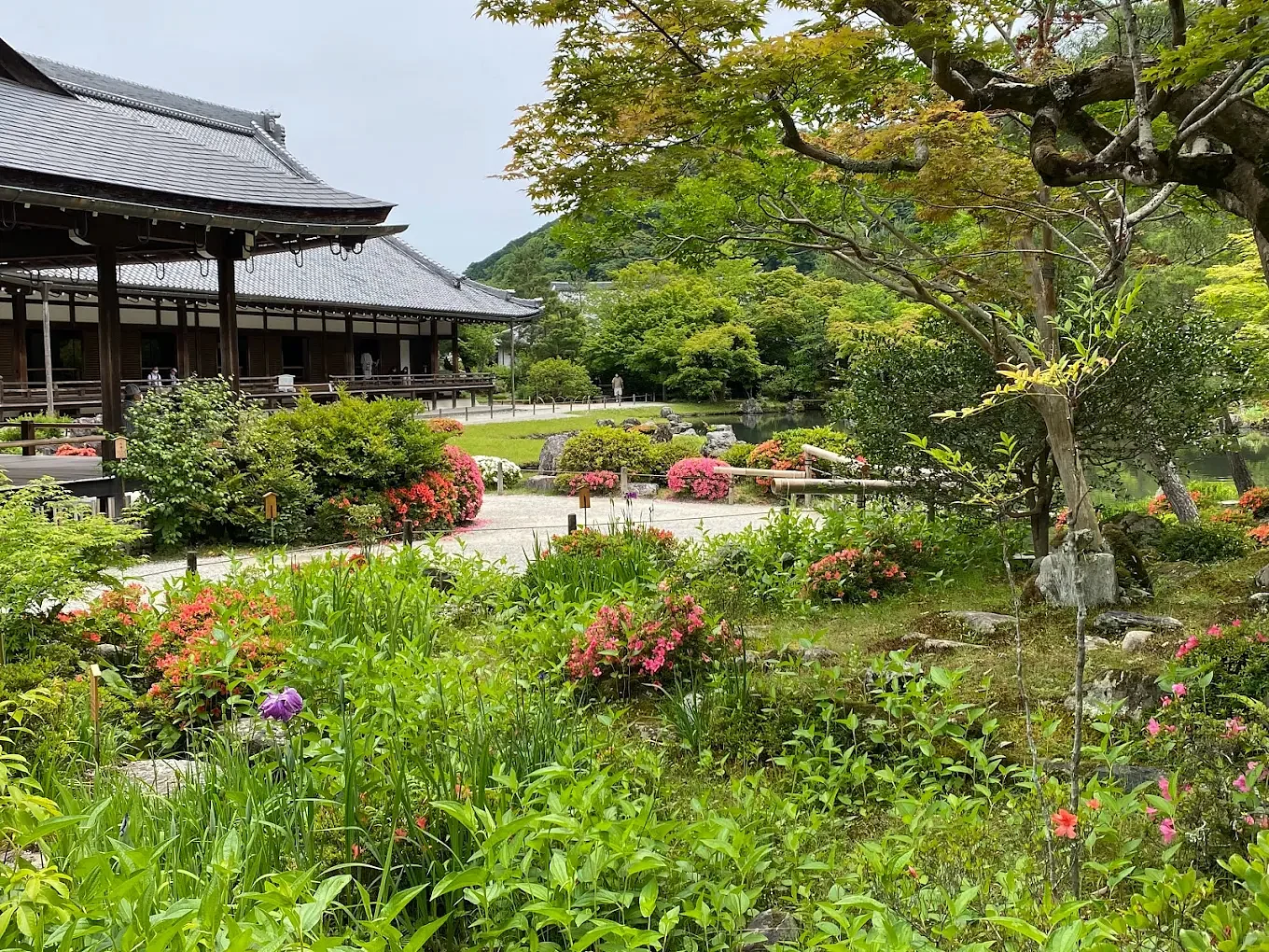blog-images