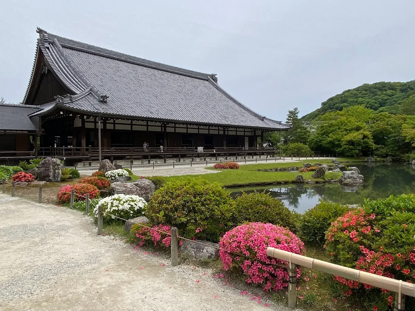 blog-images
