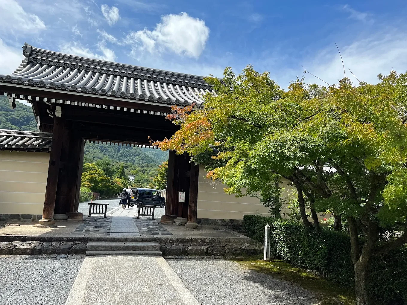 blog-images