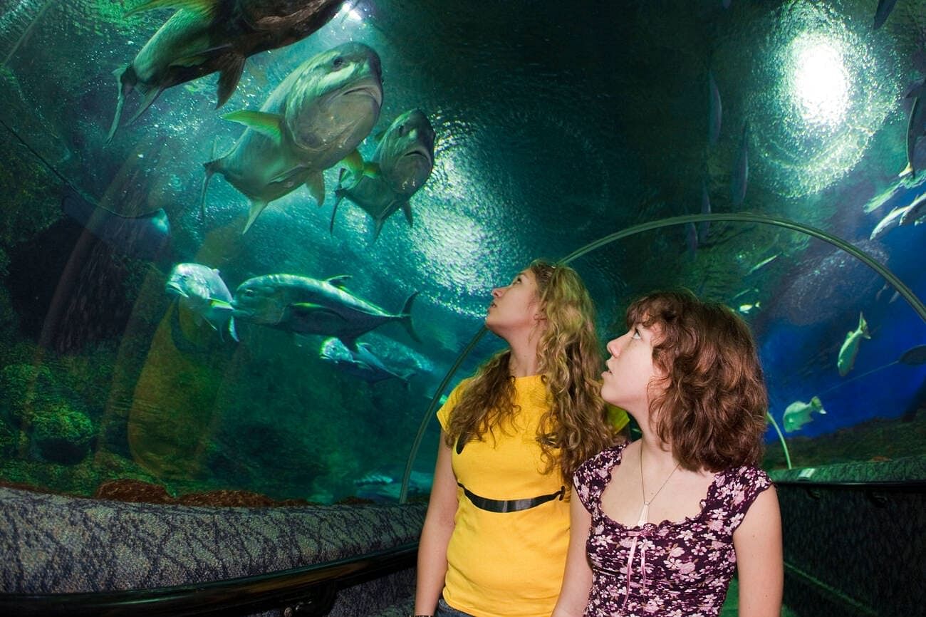 things-to-do-in-singapore-with-kids