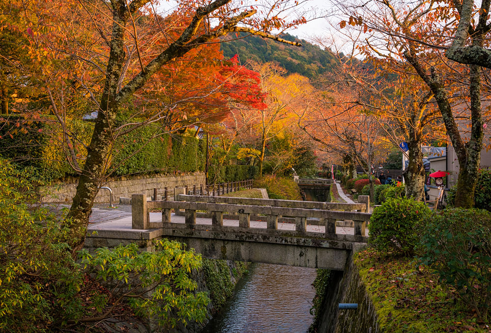 blog-images