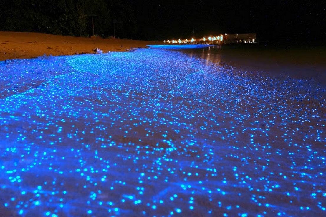 vadhoo-island-maldives