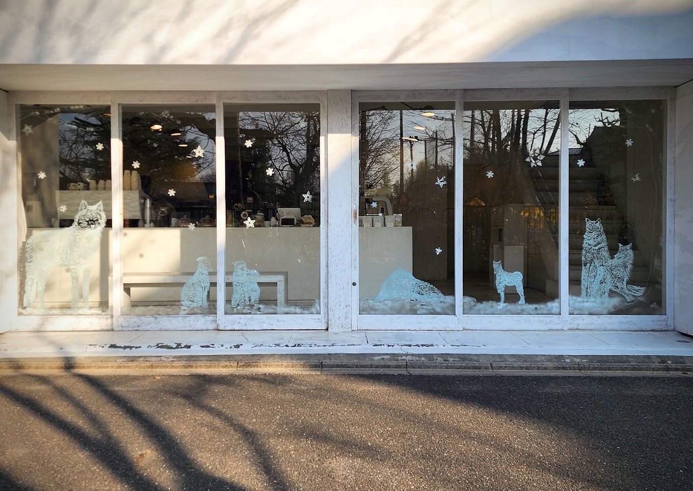 blog-images