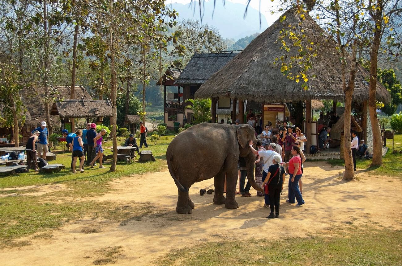 western-tourists-at-an-elephant-sanctuary