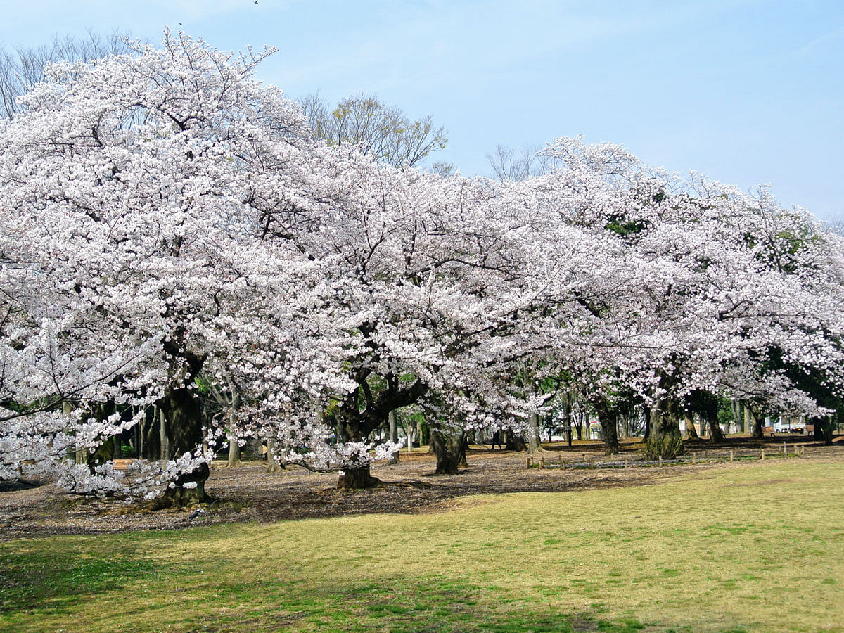 blog-images
