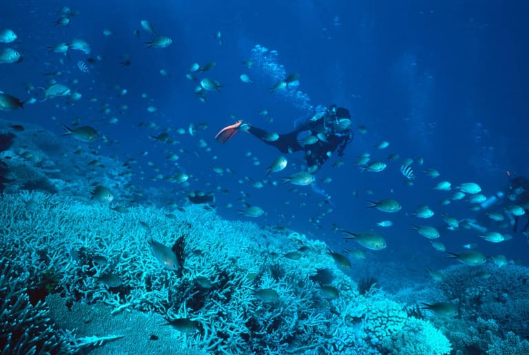 scuba-diving-in-australia